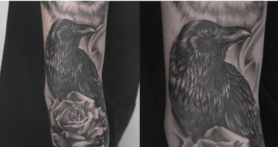 Crow tattoo Crow tattoo