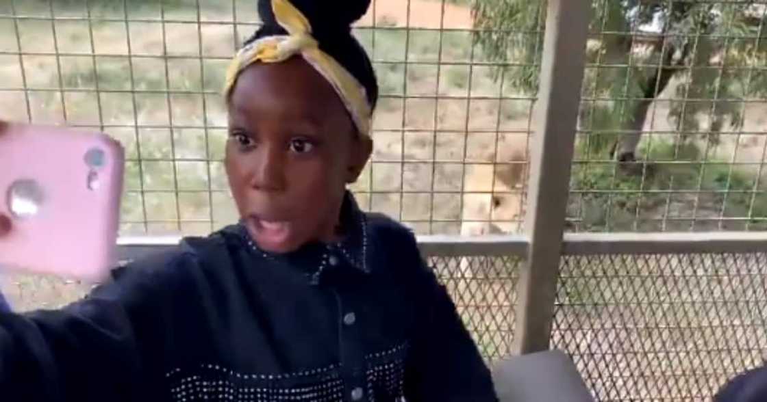 "She Was Never Ready": Girl Taking a Selfie Gets Interrupted by a Lion "She Was Never Ready": Girl Taking a Selfie Gets Interrupted by a Lion