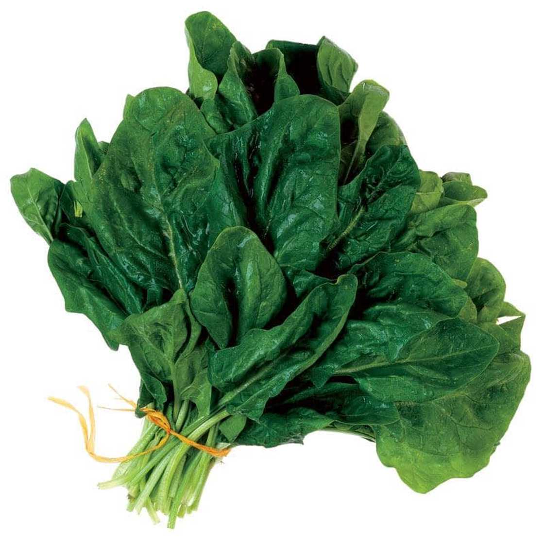 high alkaline vegetables high alkaline vegetables