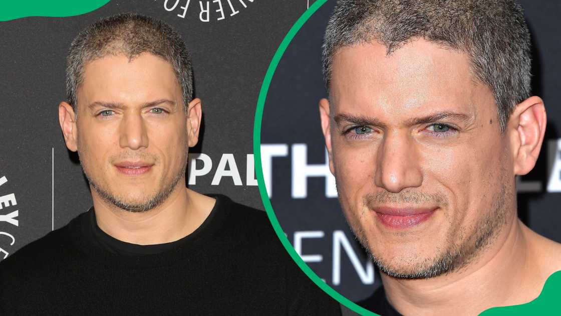 Wentworth Miller's relationship history