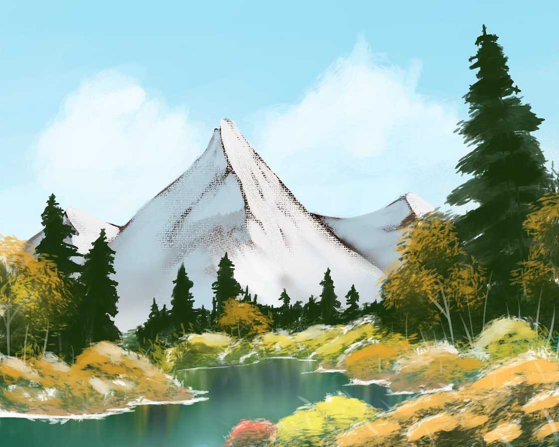 Bob Ross' paintings for sale