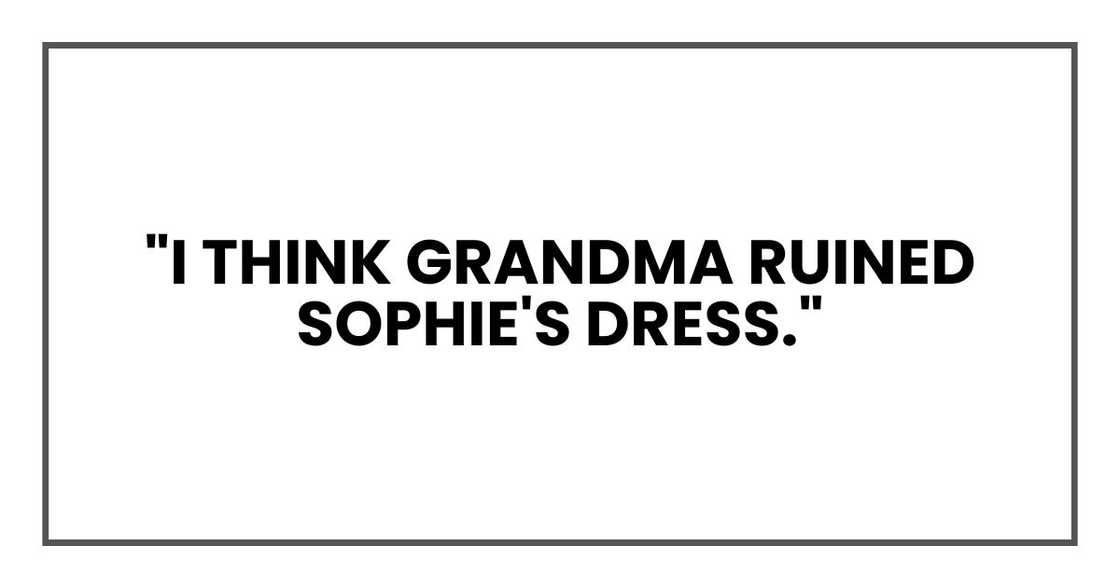 "I think Grandma ruined Sophie's dress." "I think Grandma ruined Sophie's dress."