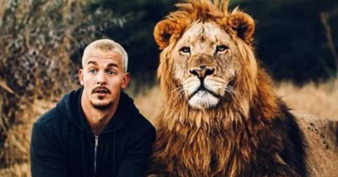 "Lions Ain't Pets": Man Advises People Against Playing With Lions "Lions Ain't Pets": Man Advises People Against Playing With Lions