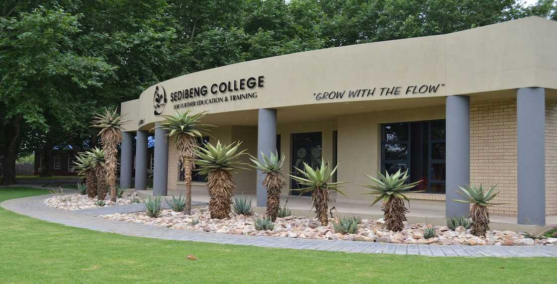 Sedibeng College Sedibeng College
