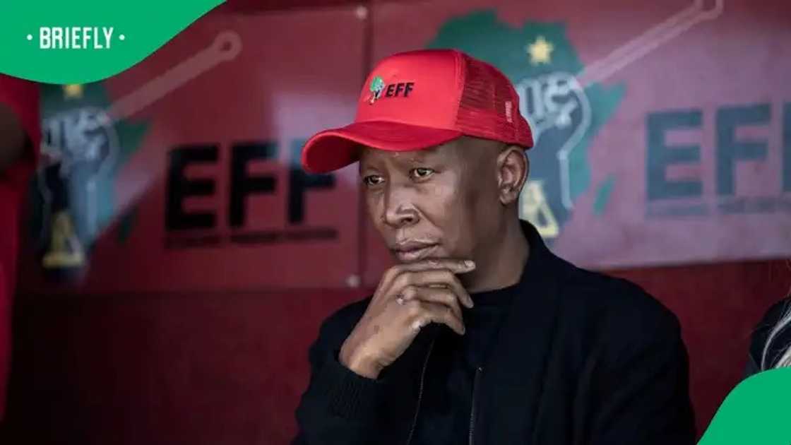 Julius Malema stands firm against the deportation of illegal immigrants Julius Malema stands firm against the deportation of illegal immigrants