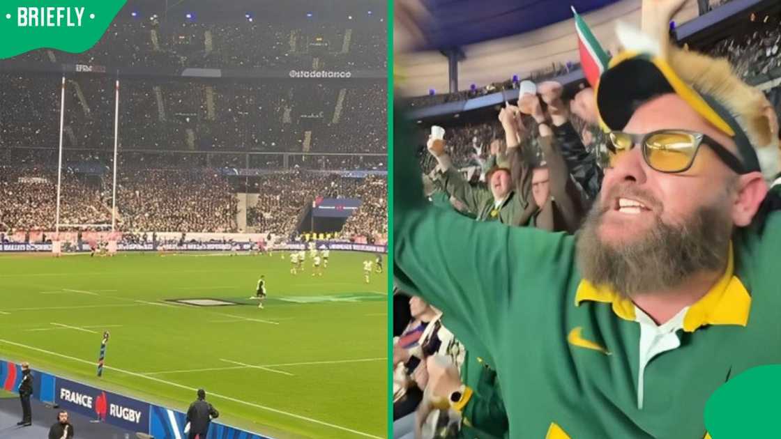 A Springbok fan at a match in France.
