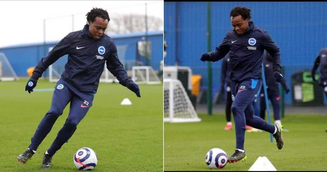South African fans were delighted to see Percy Tau in action for Brighton & Hove Albion. Image: @PercyMuziTau22/Twitter South African fans were delighted to see Percy Tau in action for Brighton & Hove Albion. Image: @PercyMuziTau22/Twitter