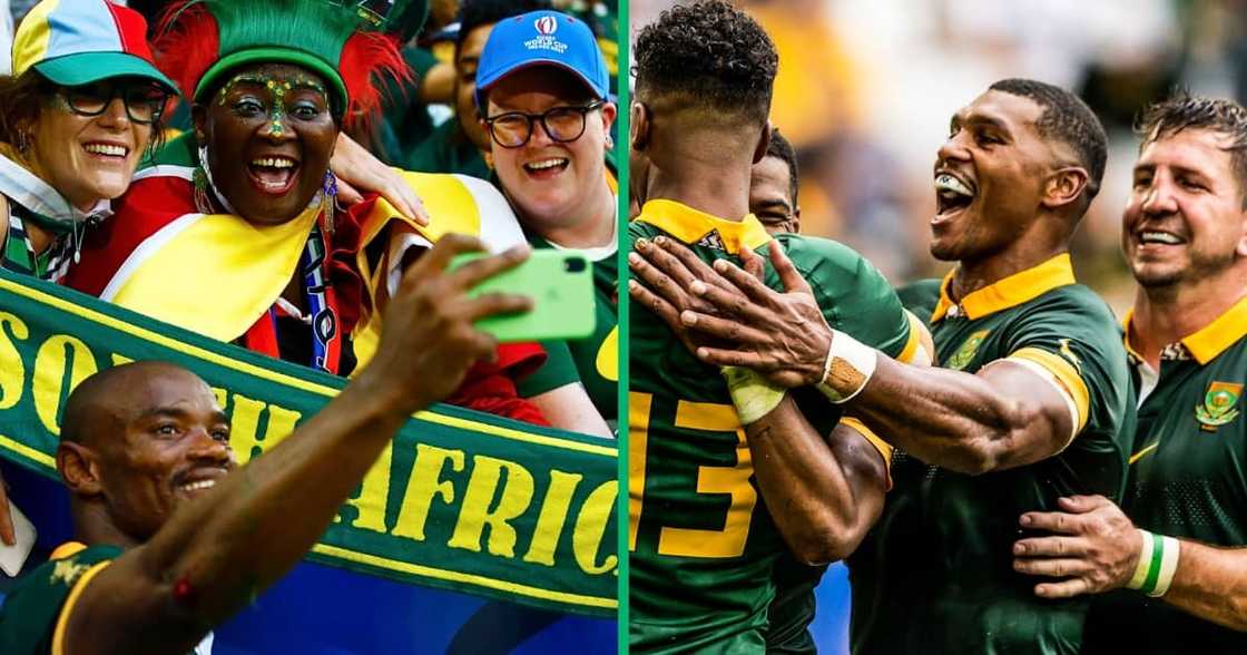 Springboks are geared up for critical match against Tonga Springboks are geared up for critical match against Tonga