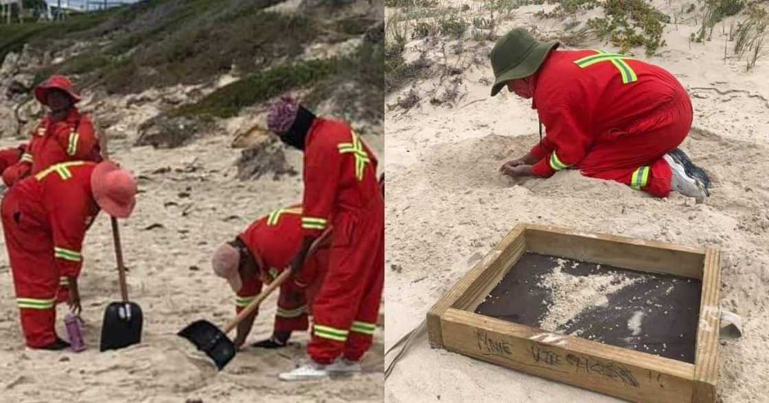 Saving the planet: Selfless women remove plastic from beaches