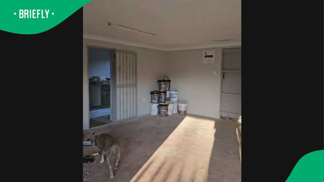 A video went viral on TikTok. A video went viral on TikTok.