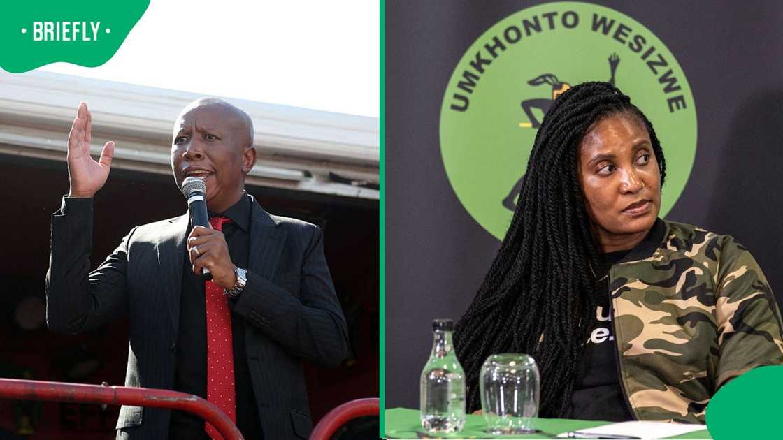 Julius Malema expressed his support for Duduzile Zuma-Sambudla who was kicked out of the uMkhonto weSizwe Party Julius Malema expressed his support for Duduzile Zuma-Sambudla who was kicked out of the uMkhonto weSizwe Party