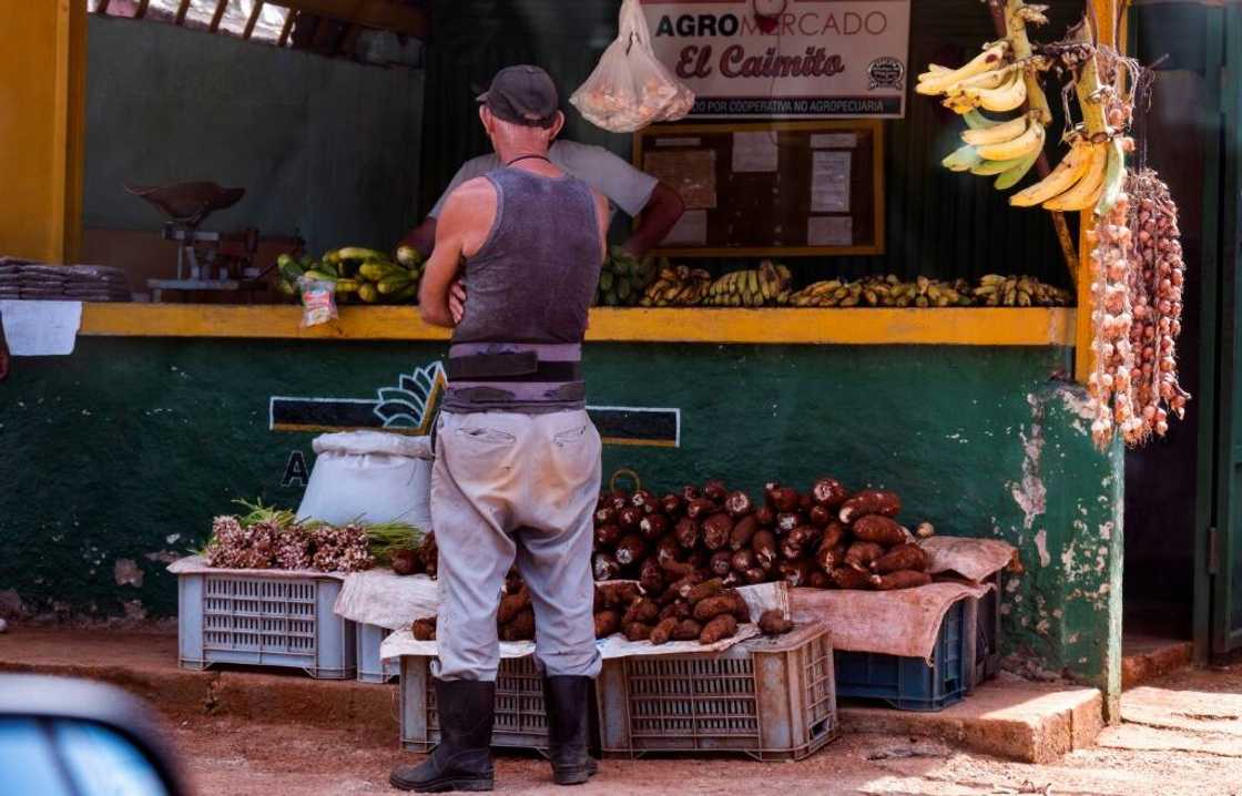 According to official figures, agricultural production in Cuba fell 35 percent between 2019 and 2023 According to official figures, agricultural production in Cuba fell 35 percent between 2019 and 2023