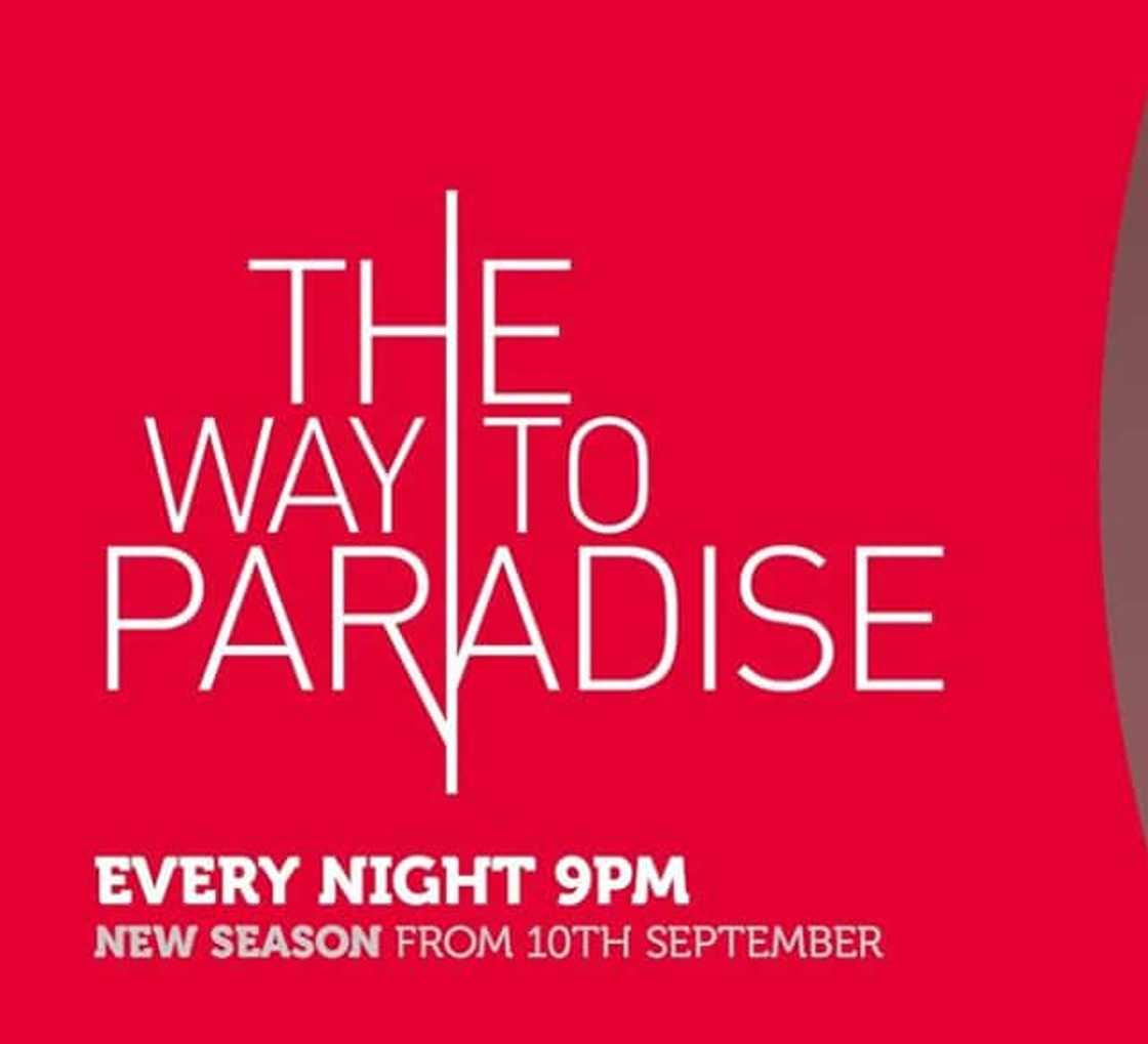 The Way to Paradise telemundo cast