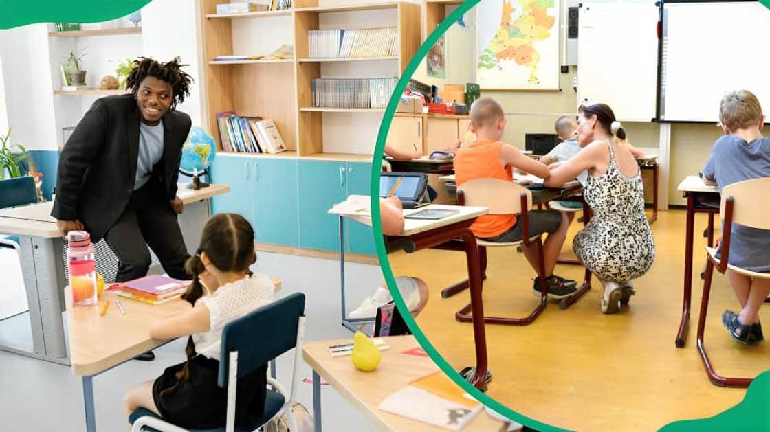 WCED online application WCED online application