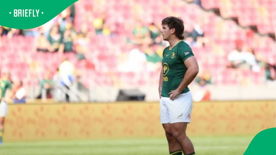 Springboks, South Africa Springboks, South Africa