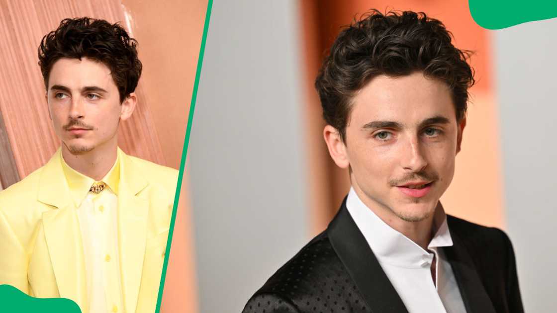 Timothée Chalamet Timothée Chalamet