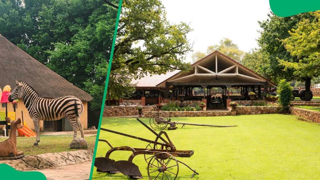 Things to do in Centurion Things to do in Centurion