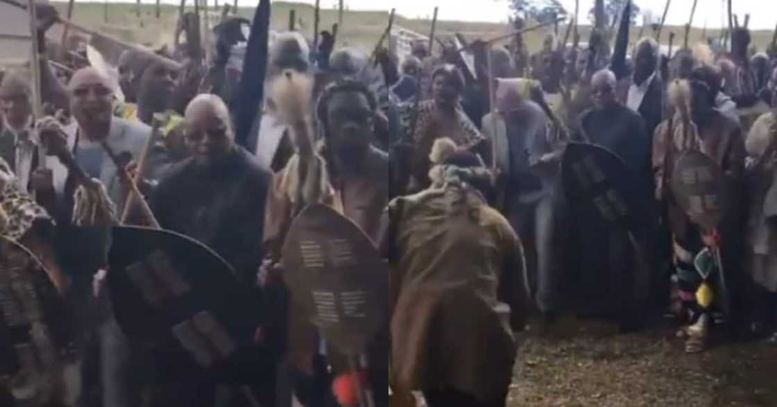 Mzansi Shares Various Reactions to Jacob Zuma Joining #Amabutho Mzansi Shares Various Reactions to Jacob Zuma Joining #Amabutho