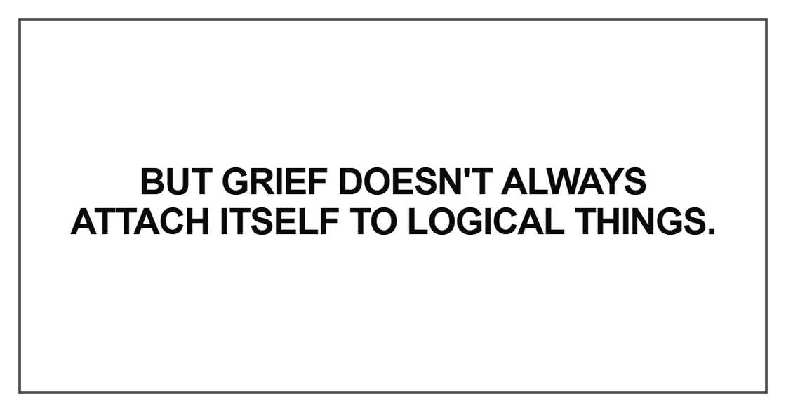 But grief doesn't always attach itself to logical things