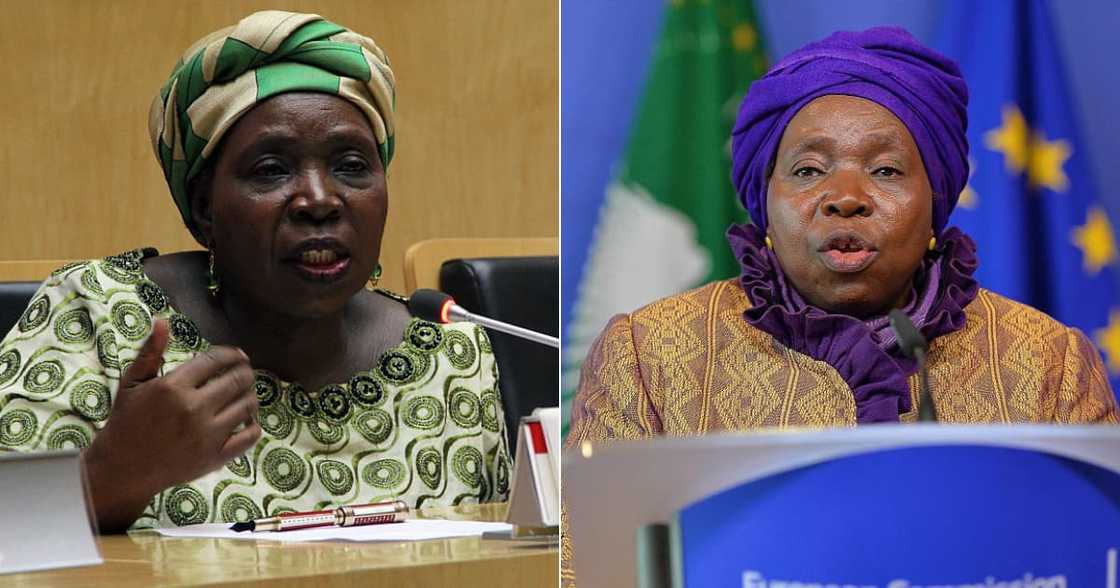 Nkosazana Dlamini-Zuma, SA Breweries, SAB, Western Cape High Court, Alcohol sales ban, Coronavirus, Covid-19, South Africa Nkosazana Dlamini-Zuma, SA Breweries, SAB, Western Cape High Court, Alcohol sales ban, Coronavirus, Covid-19, South Africa