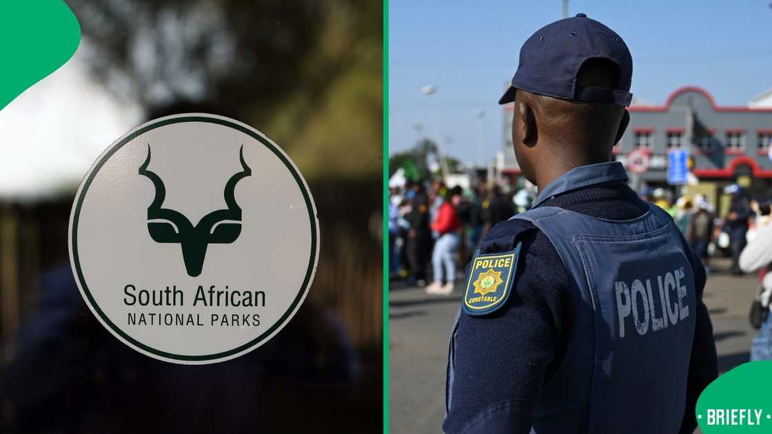 A body was discovered at the Kruger National Park A body was discovered at the Kruger National Park