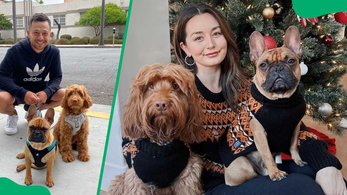 Xander Schauffele and Maya Lowe's pets Xander Schauffele and Maya Lowe's pets