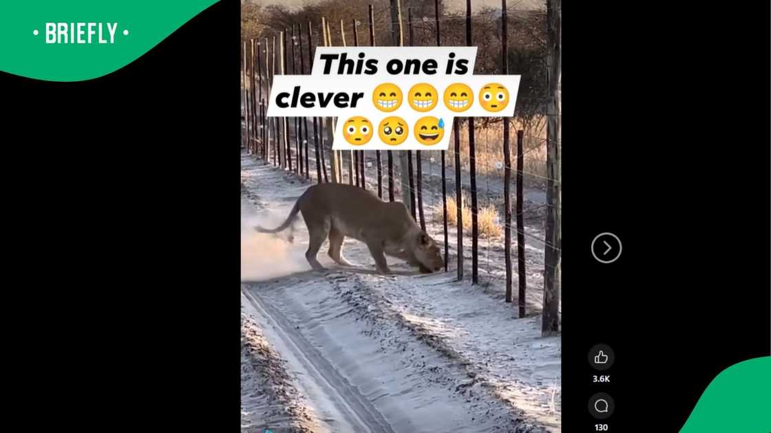 A post went viral. A post went viral.