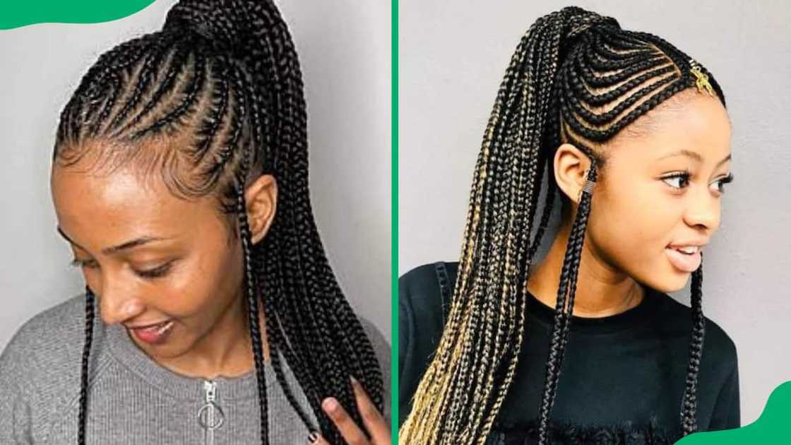 Fulani braids ponytail