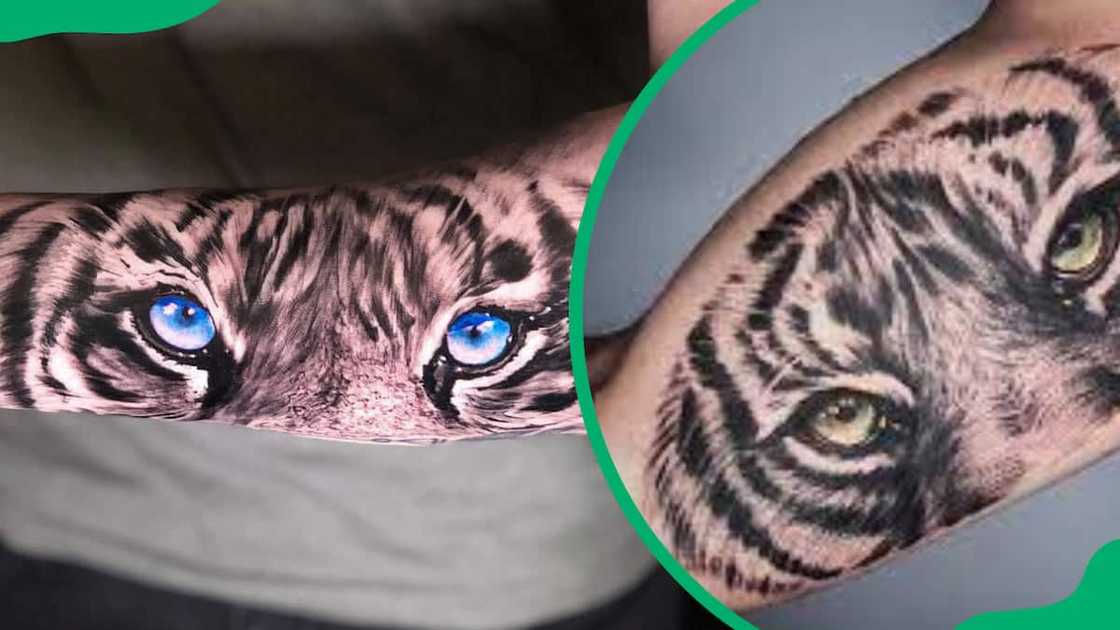 Japanese tiger eyes tattoo design Japanese tiger eyes tattoo design