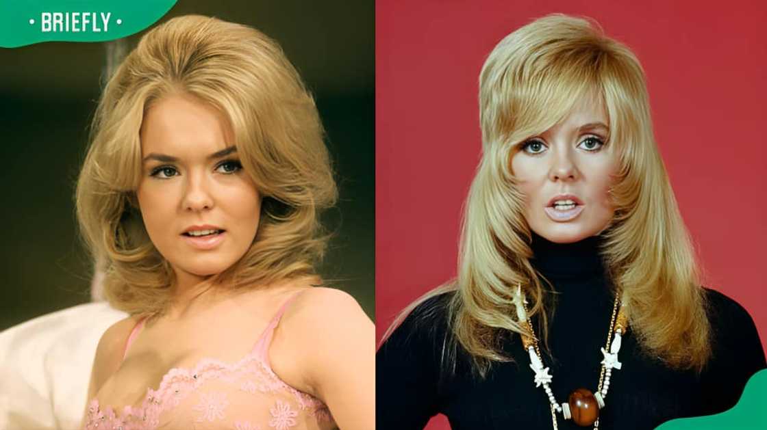 Joey Heatherton biography Joey Heatherton biography