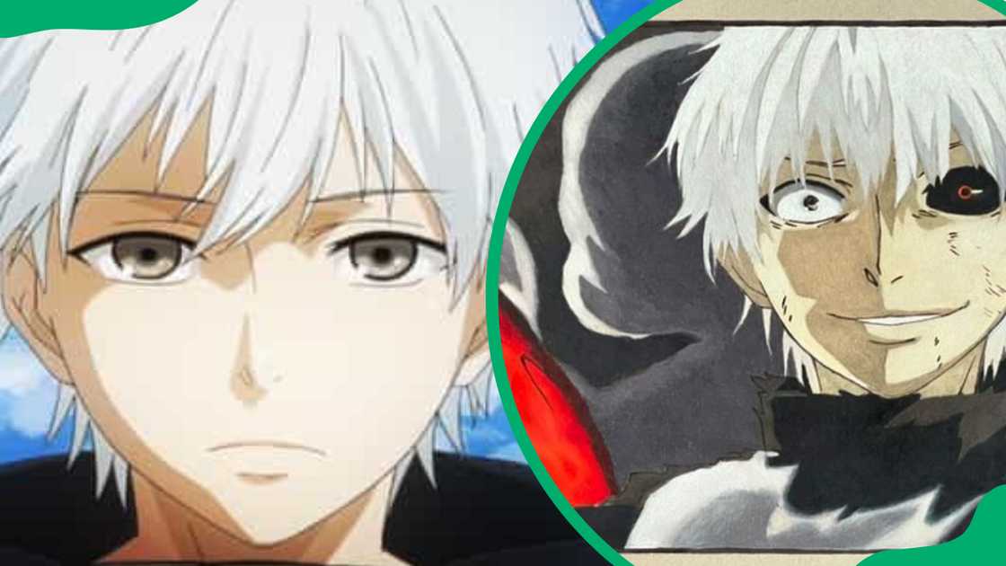 Ken Kaneki from Tokyo Ghoul Ken Kaneki from Tokyo Ghoul
