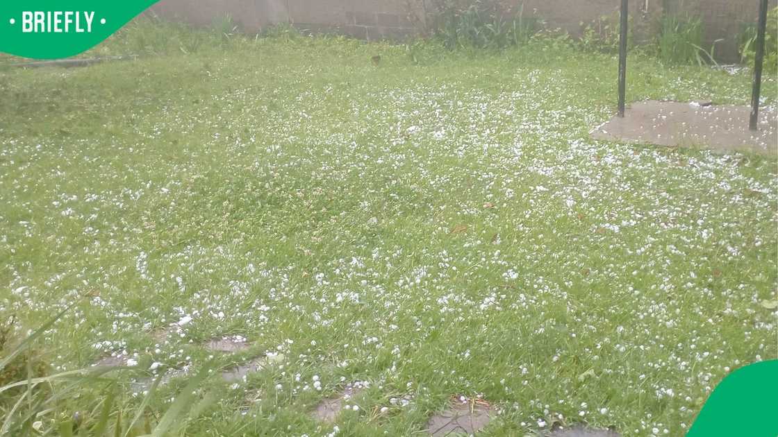 Dannhauser was hit by a heavy hailstorm