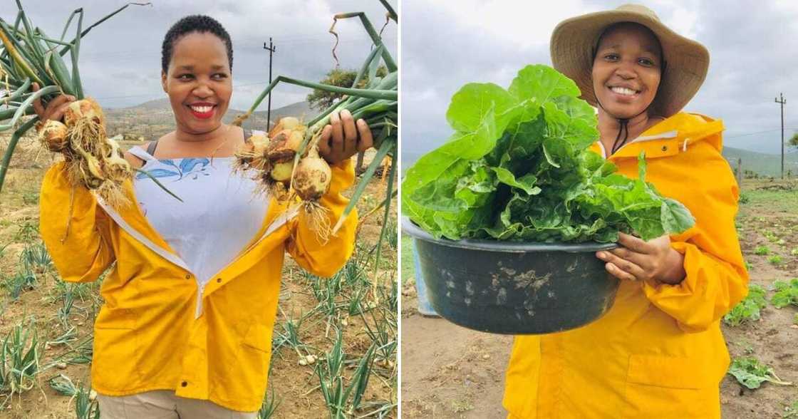 A female vegetable and poultry farmer supports eight family members with her business A female vegetable and poultry farmer supports eight family members with her business