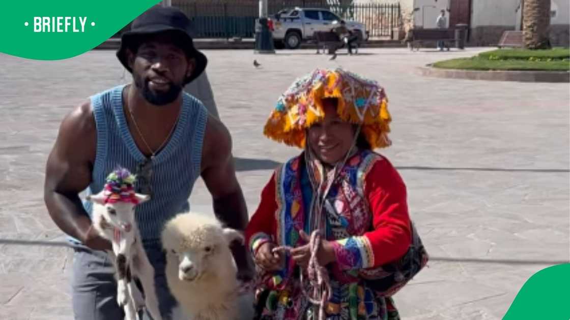Siya Kolisi posing with a Peruvian woman's pet llama. Siya Kolisi posing with a Peruvian woman's pet llama.