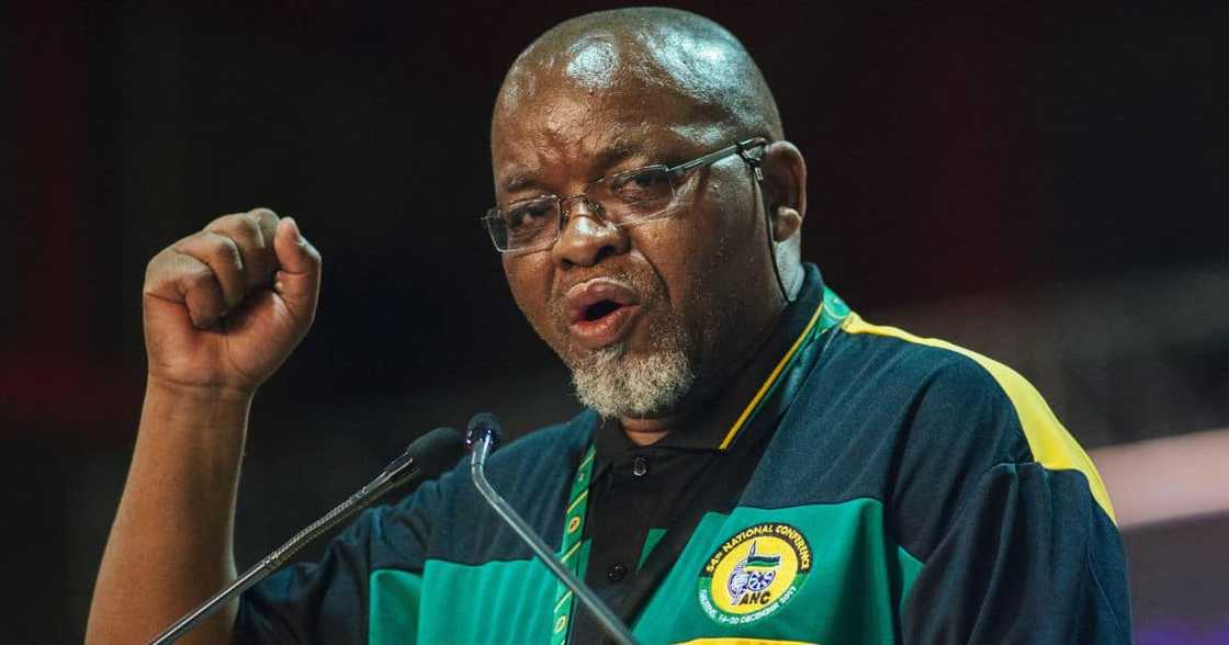 Minister, Gwede Mantashe, birthday, tiger, energy, ANC, family