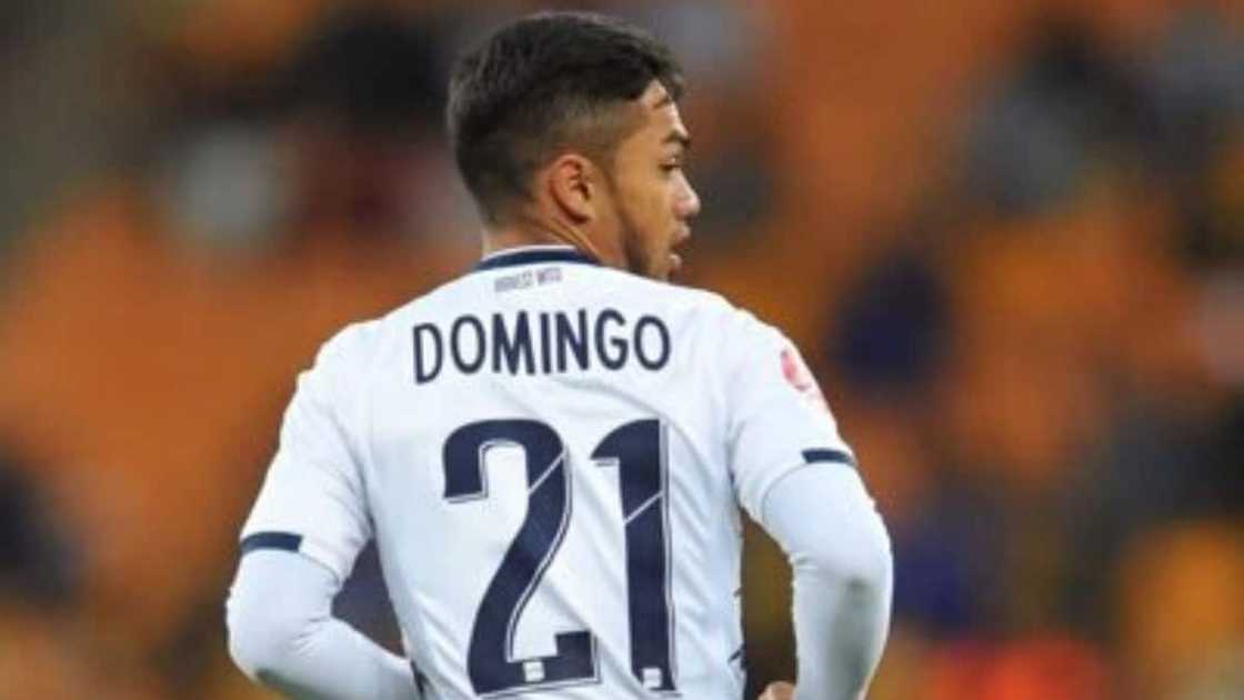 Haashim Domingo Haashim Domingo