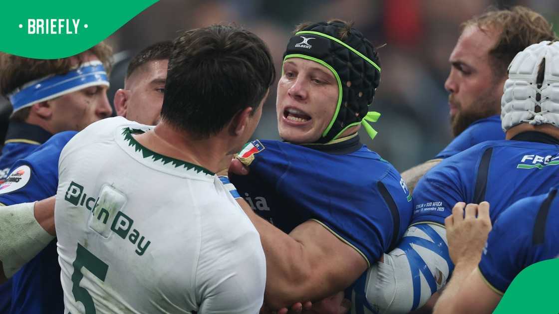 Springboks, Italy, South Africa, Quilter Nations Series Springboks, Italy, South Africa, Quilter Nations Series