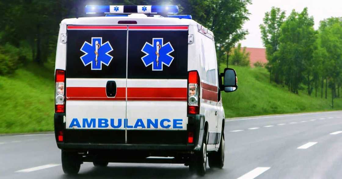 Pretoria, head on collision, bus, truck, 15 killed, injured, Emergency services Pretoria, head on collision, bus, truck, 15 killed, injured, Emergency services