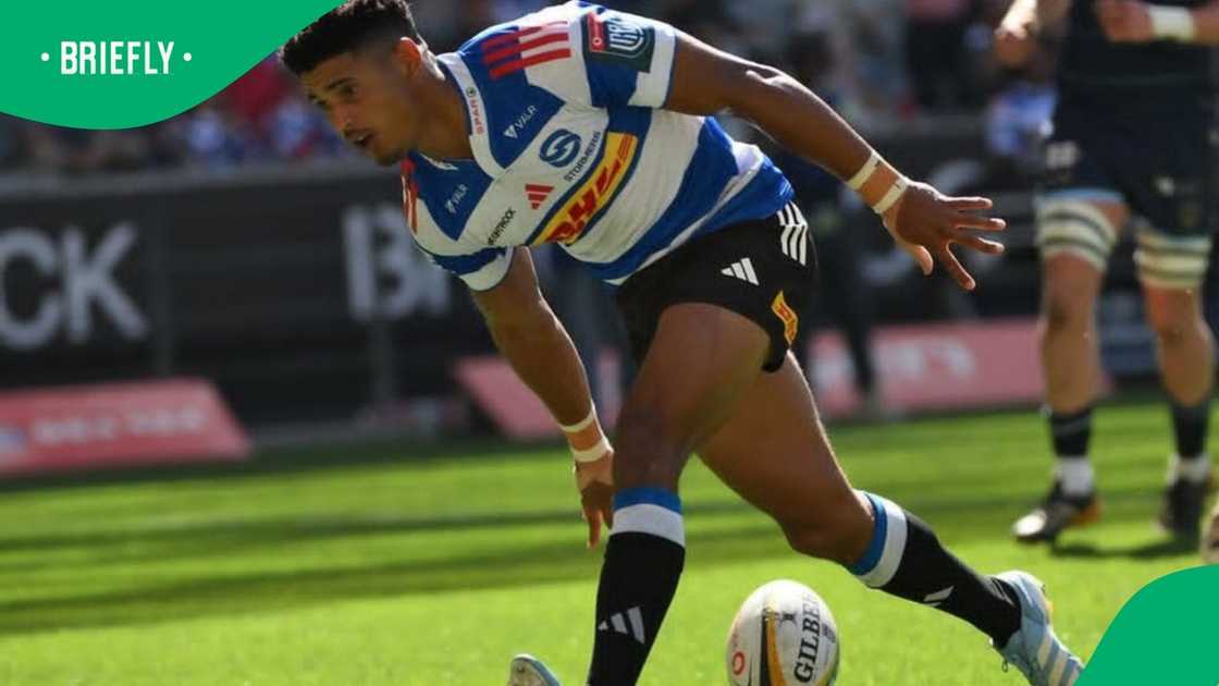 DHL Stormers, Sacha Feinberg-Mngomezulu, Springboks DHL Stormers, Sacha Feinberg-Mngomezulu, Springboks
