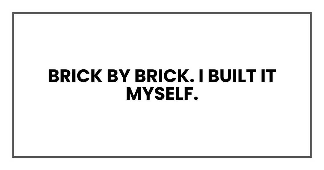 Brick by brick. I built it myself. Brick by brick. I built it myself.