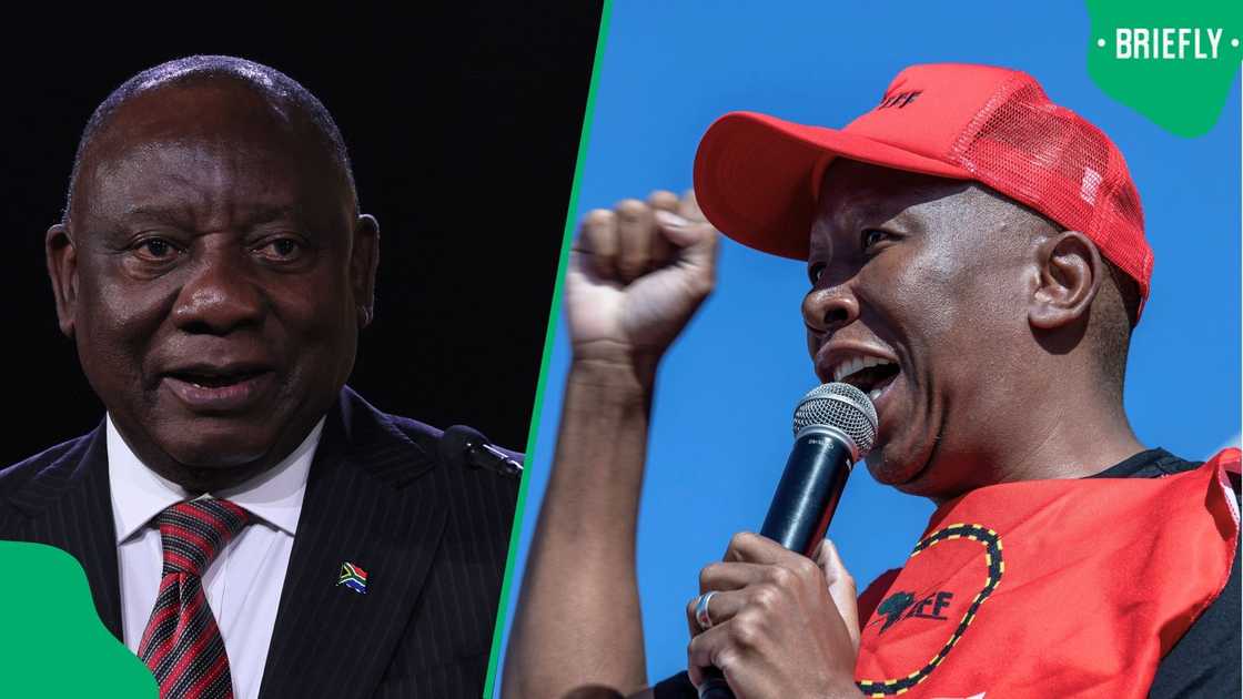 Julius Malema suggested that President Cyril Ramaphosa should resign
