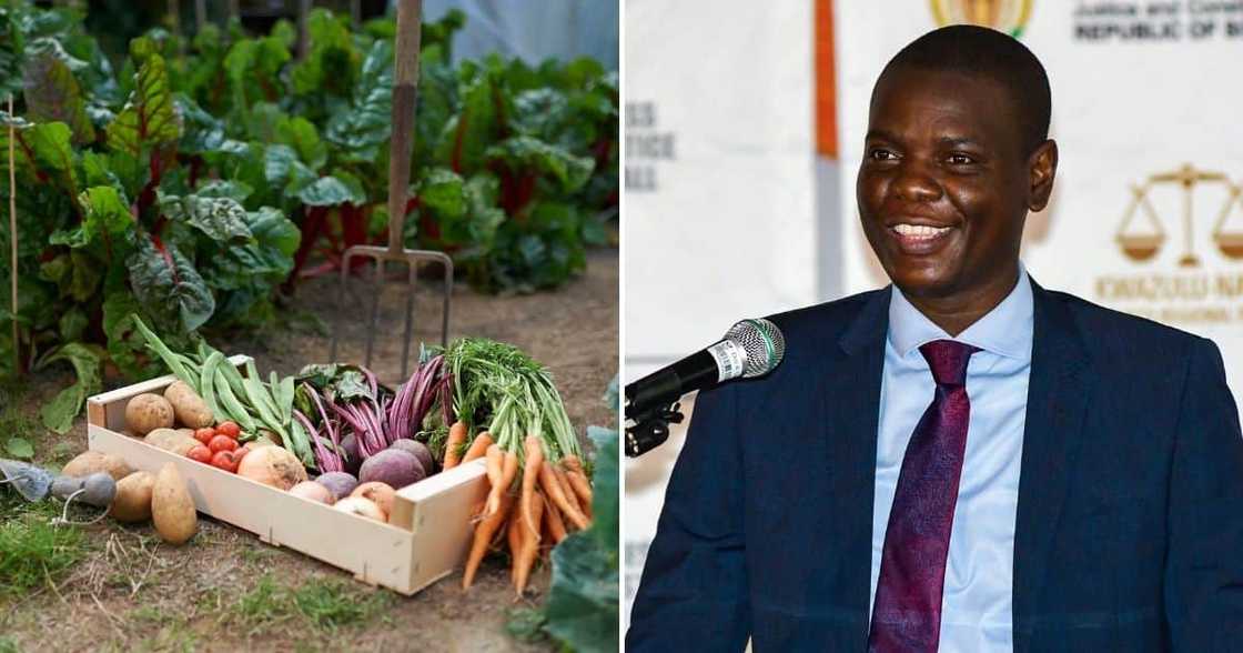 R163m, save, prisoners, growing, food, Ronaldo Lamola, correction services R163m, save, prisoners, growing, food, Ronaldo Lamola, correction services