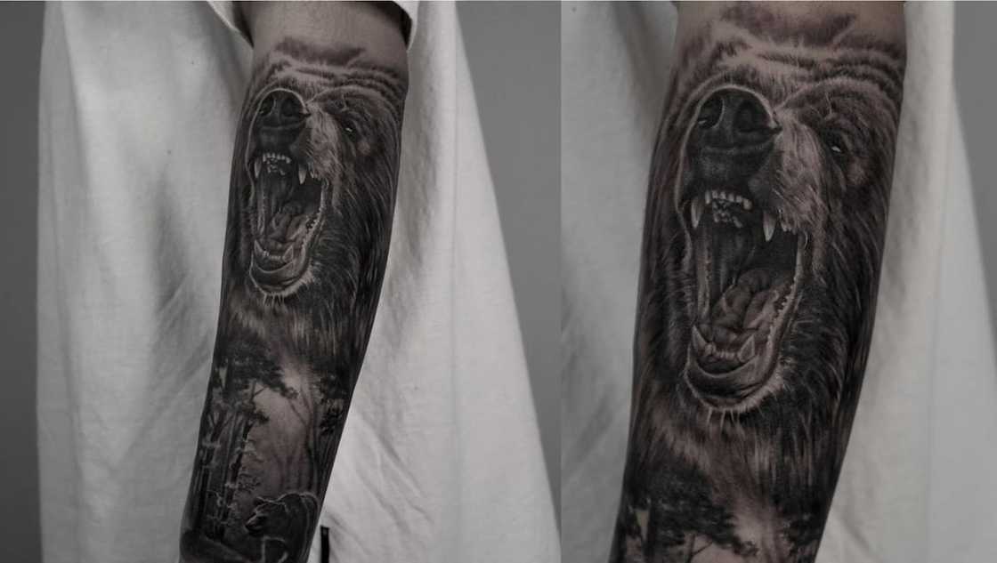 Bear tattoo Bear tattoo