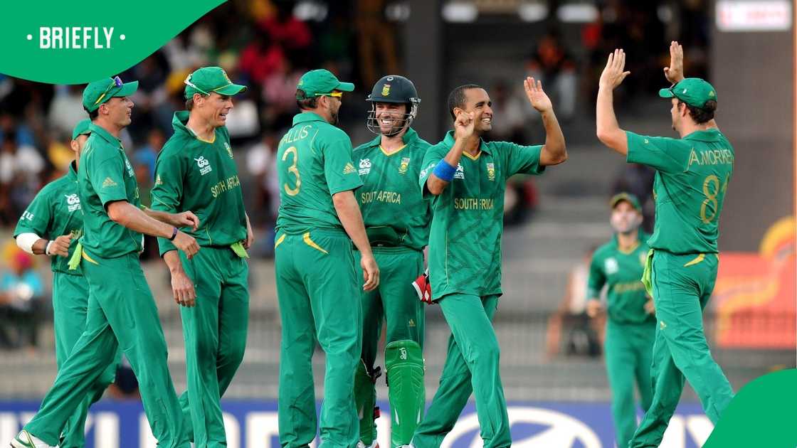 Albie Morkel, Proteas, South Africa, Johan Botha