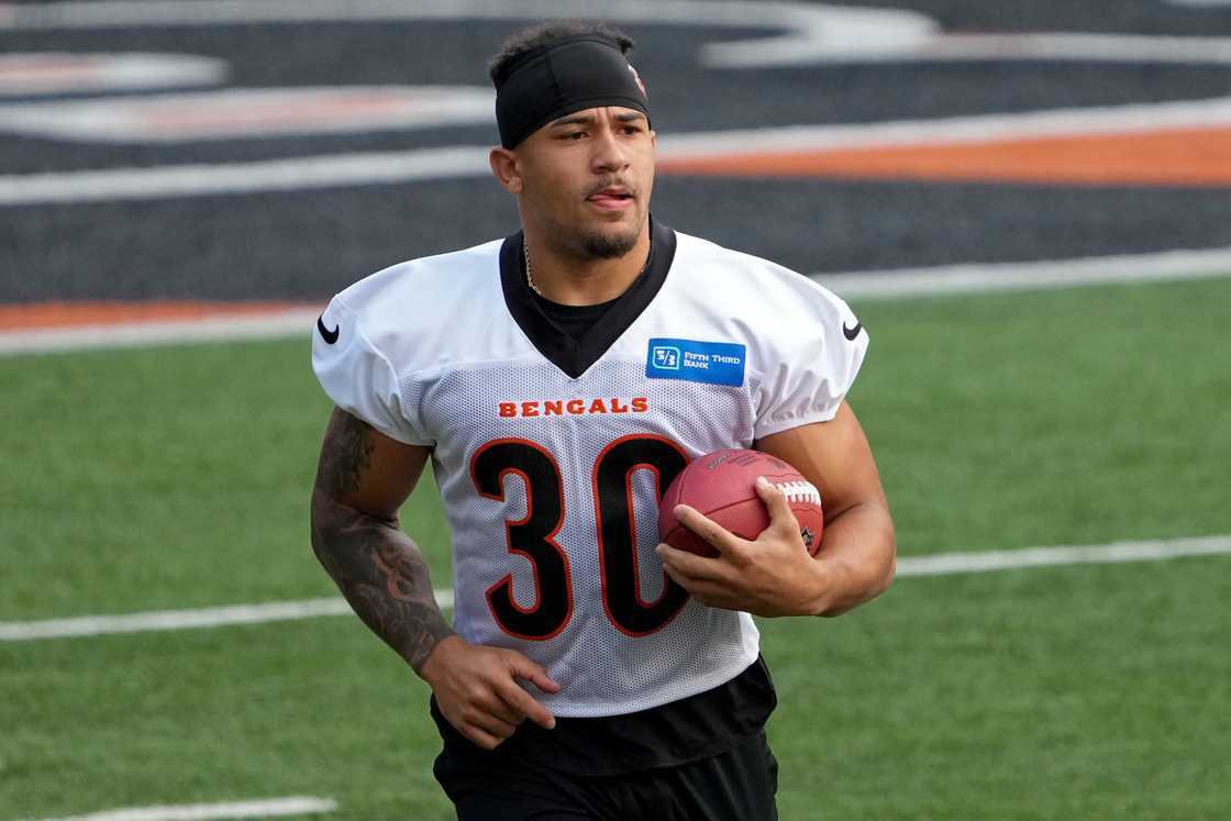 Chase Brown at Paycor Stadium in Cincinnati, Ohio Chase Brown at Paycor Stadium in Cincinnati, Ohio