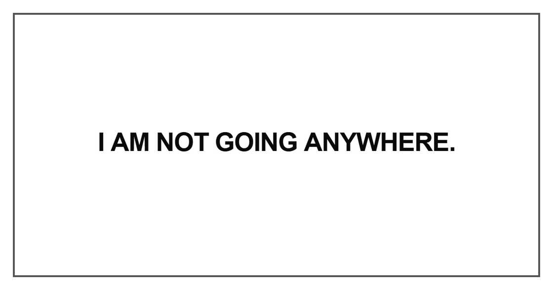 I am not going anywhere I am not going anywhere