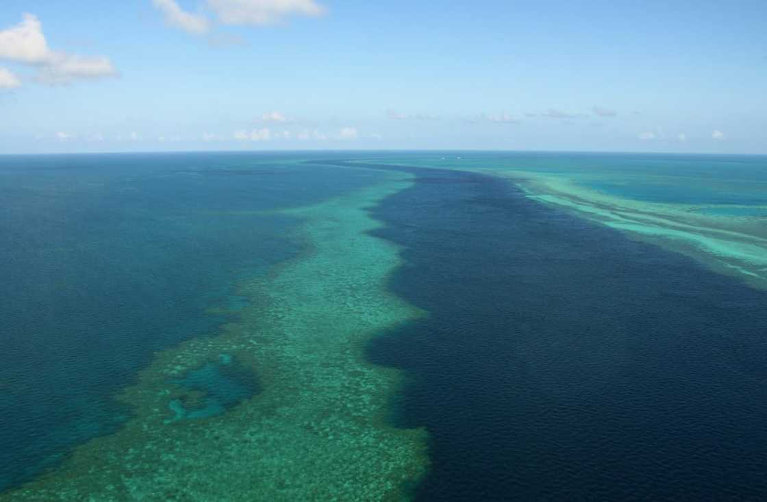 The Whitsunday Islands in the Great Barrier Reef were the destination for Bonza's first flight The Whitsunday Islands in the Great Barrier Reef were the destination for Bonza's first flight