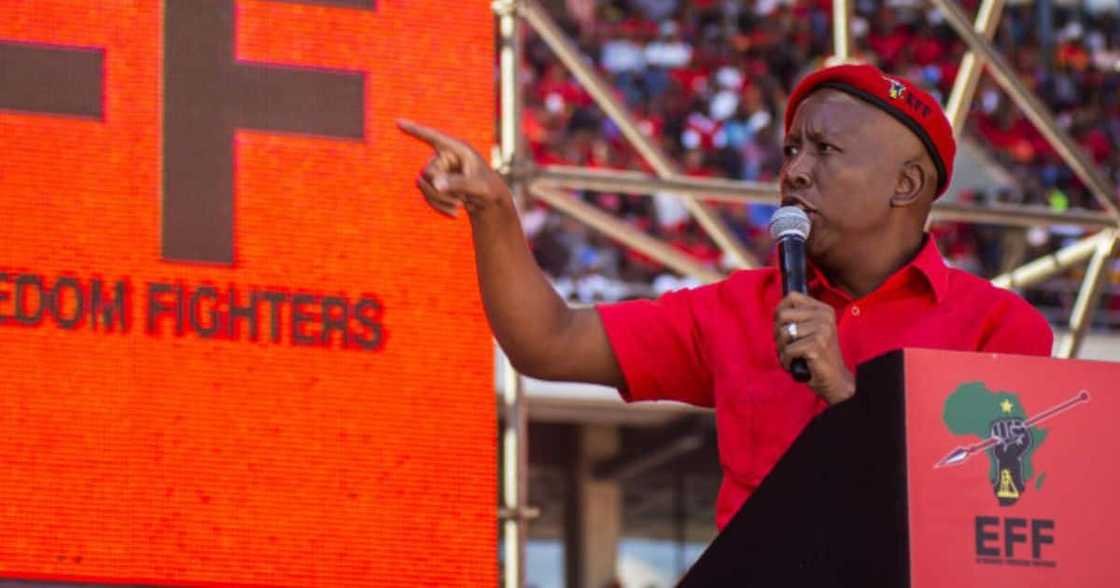 EFF leader Julius Malema EFF leader Julius Malema