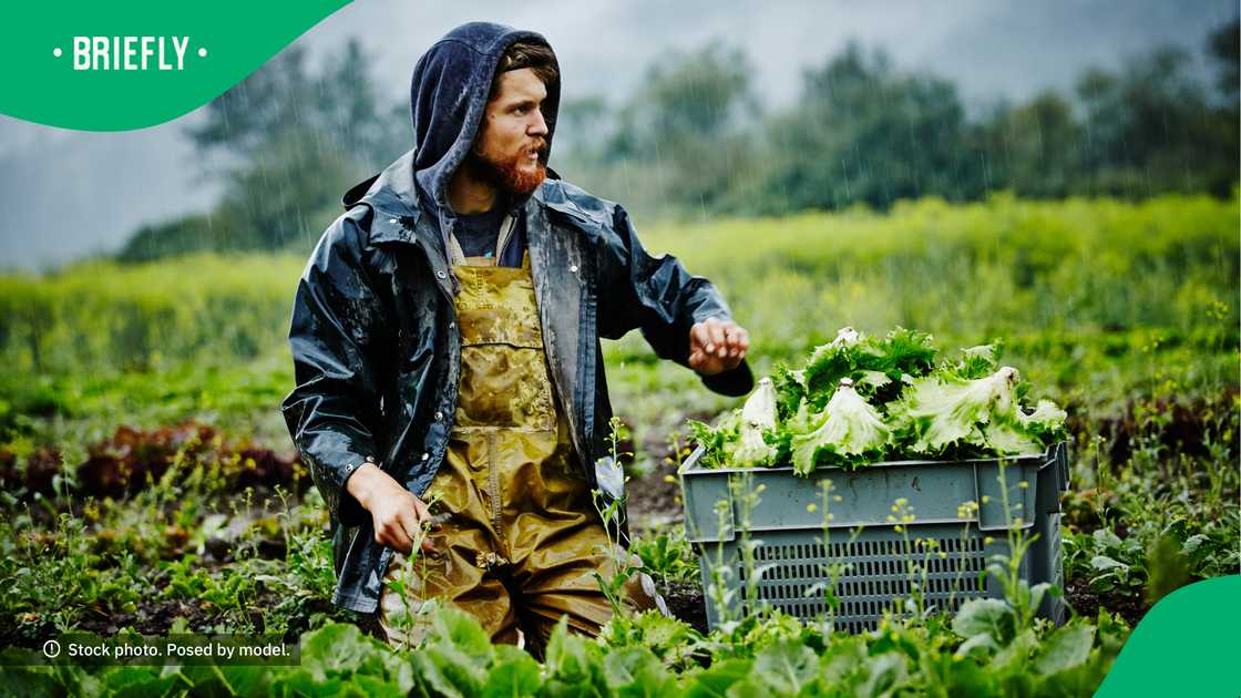 Farming is a deep passion for the gent. Farming is a deep passion for the gent.