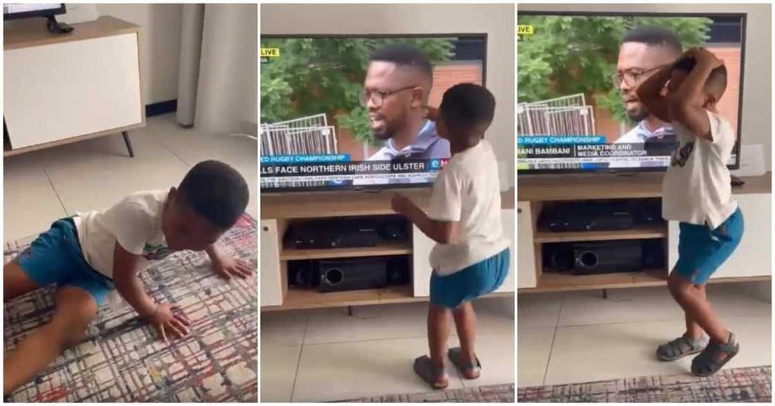Little boy, speaking on TV, hugs air, screams Little boy, speaking on TV, hugs air, screams